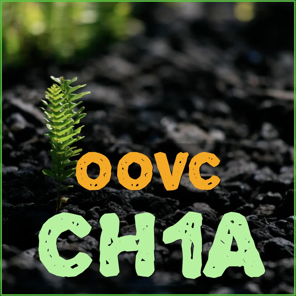 CH1A - Level 1, Part A: Absolute Beginner Conversational Hawaiian