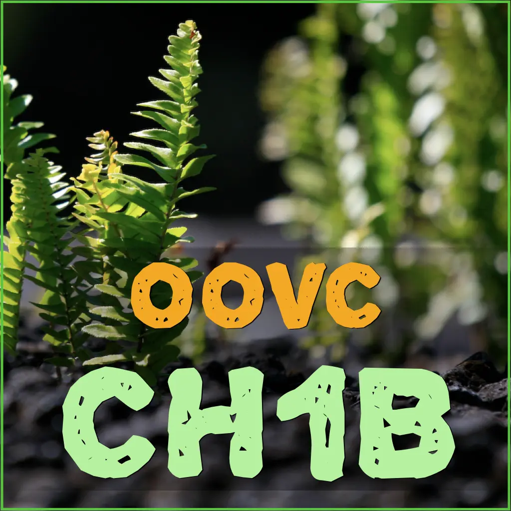 CH1B - Level 1, Part B: Forming Solid Foundations, Learning Patterns