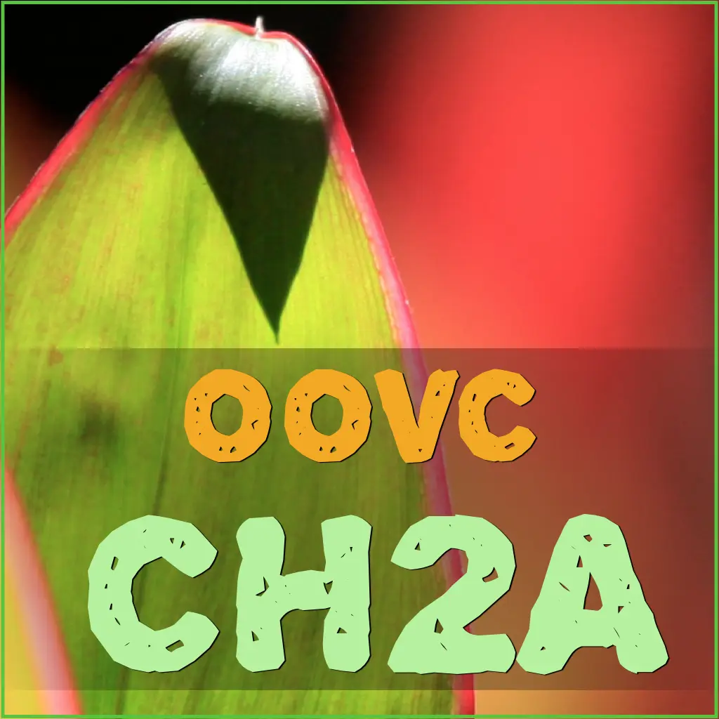 CH2A - Level 2, Part A: Beyond The Basics And Into Conversation
