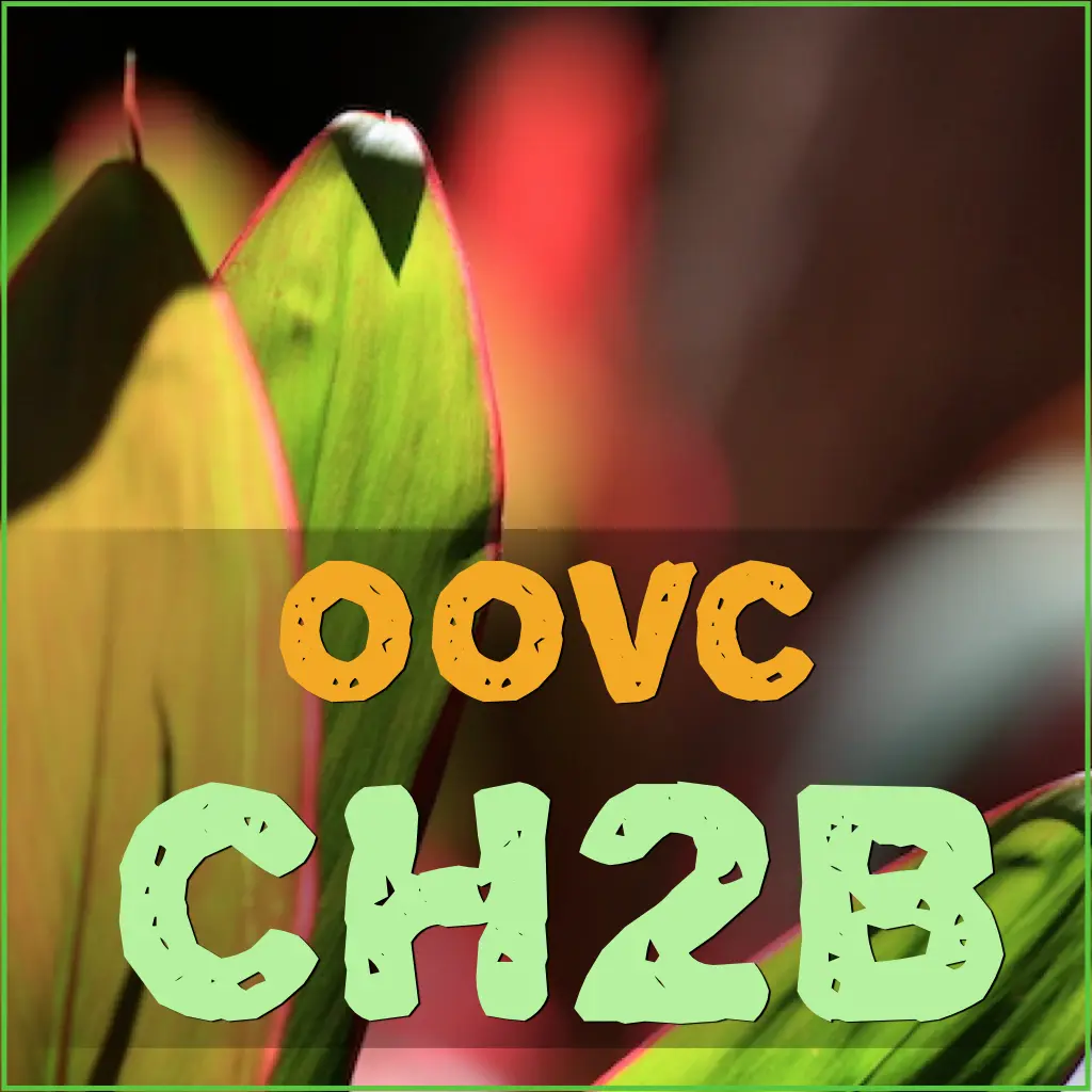 CH2B - Level 2, Part B: Telling Stories, Developing Confidence