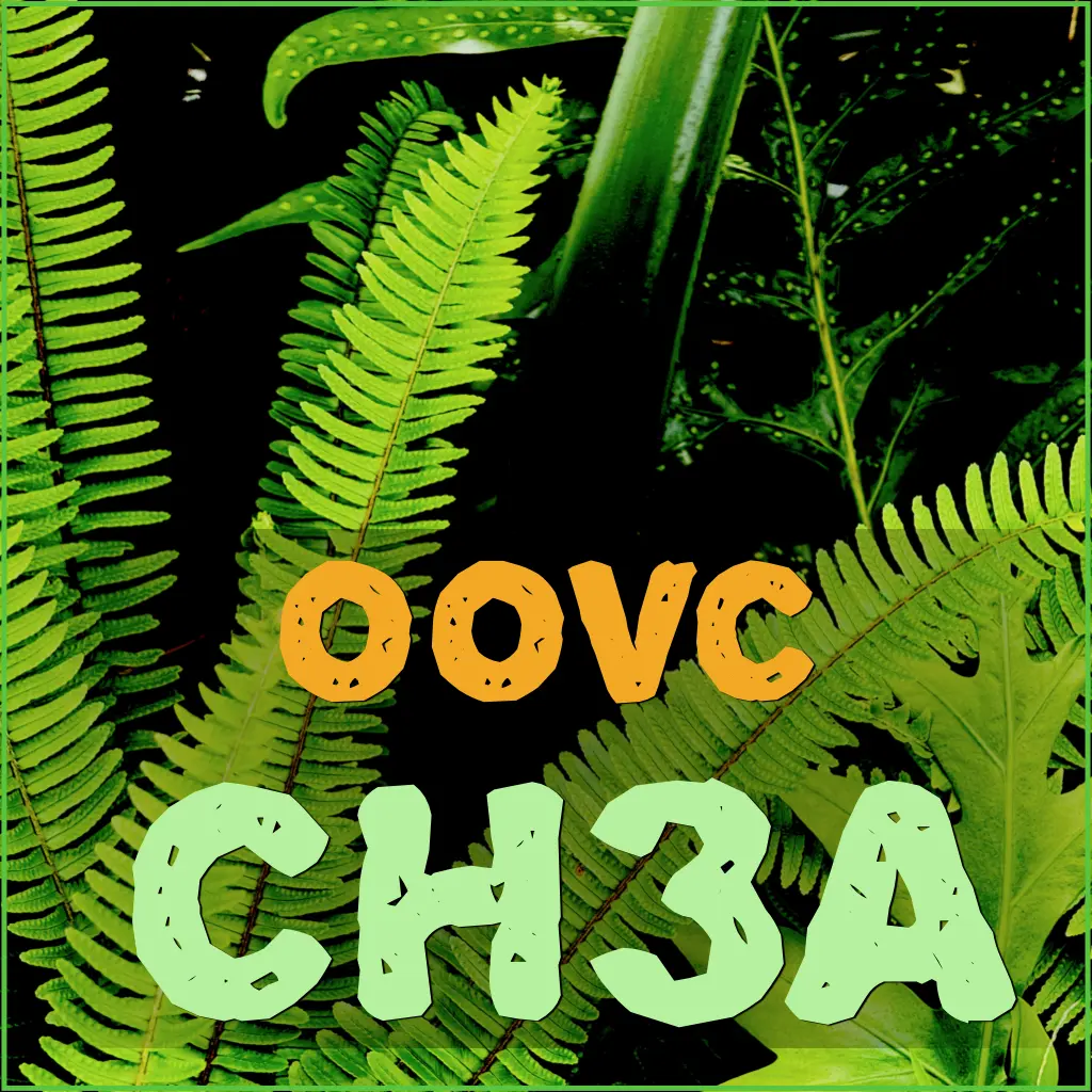 CH3A - Level 3, Part A: Sustained Conversations, Deeper Thinking