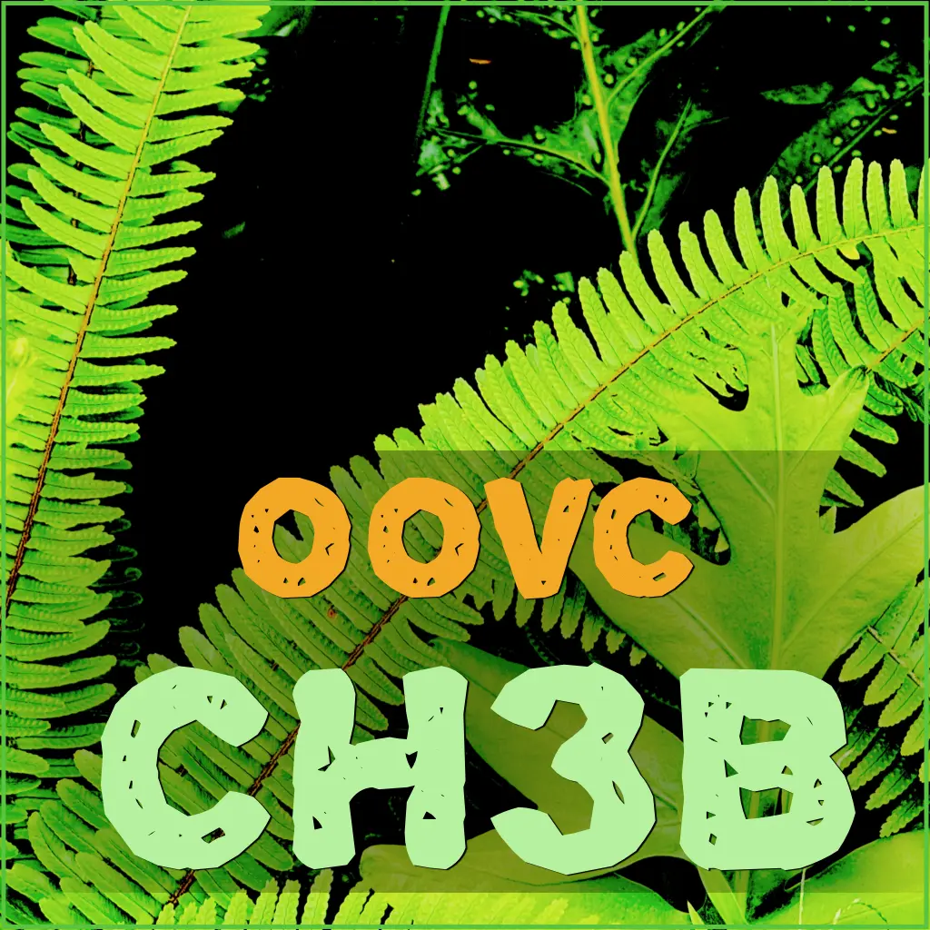 ch3b-product-card-1024x