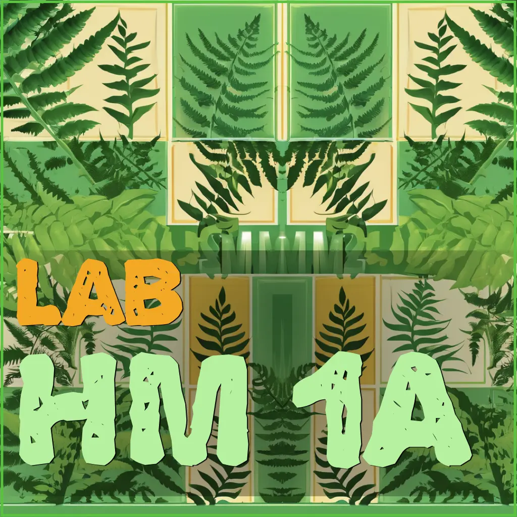 hm1a-product-card-1024x