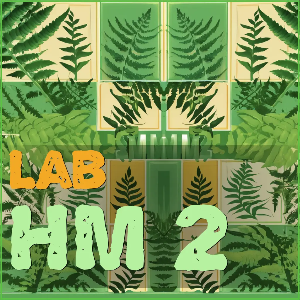 hm2-product-card-1024x